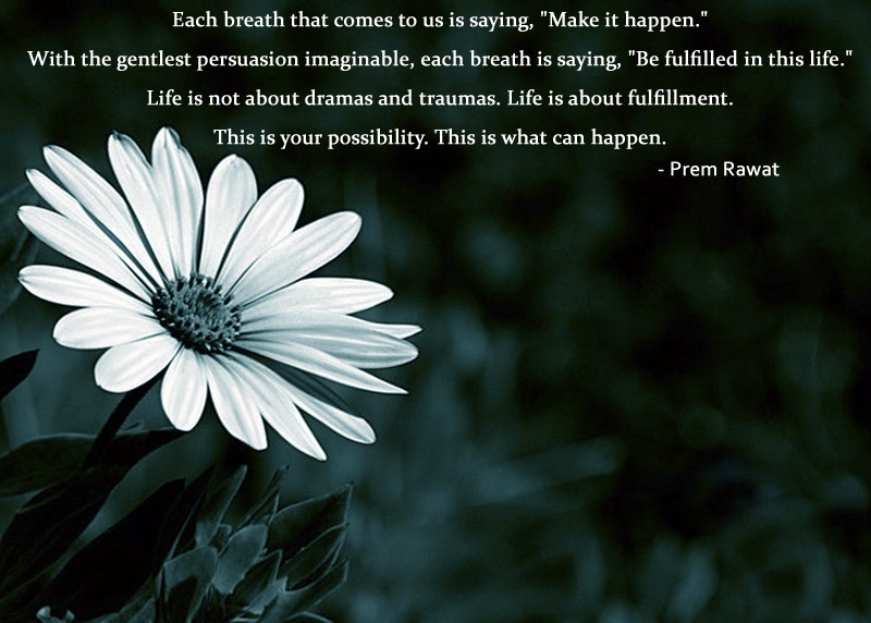 Het Geheim Van Een Geweldig Leven